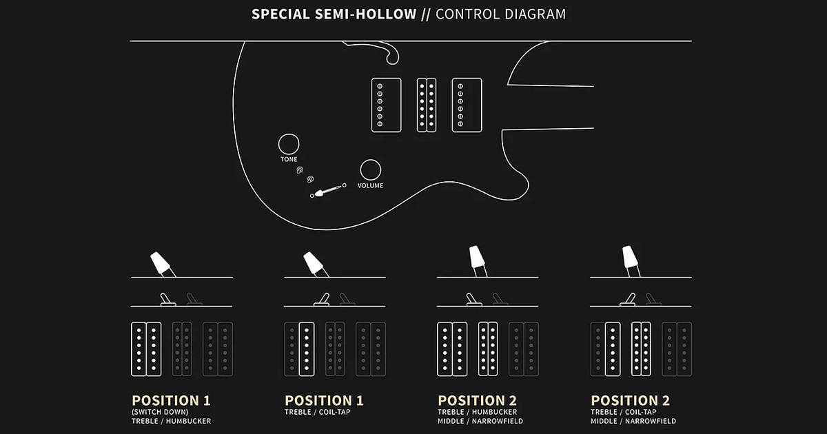 La PRS Special Semi-Hollow ha una configurazione di pickup H-S-H, con due McCarty III e un PRS Narrowfield centrale.