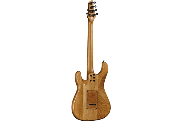 Eko Guitars - Aire 601 Lignum