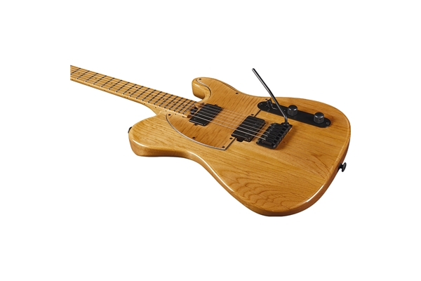 Eko Guitars - Tero 601 Lignum