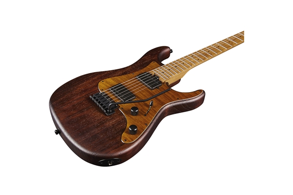 Eko Guitars - Fire 701 Wildwood