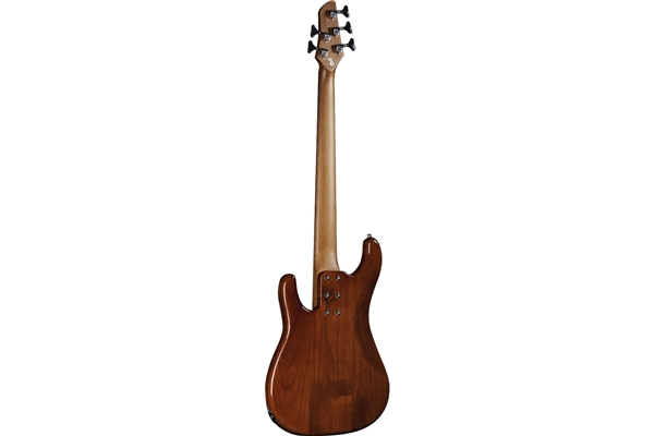 Eko Guitars - Aire 800-5 Musa Bass Honey Burst