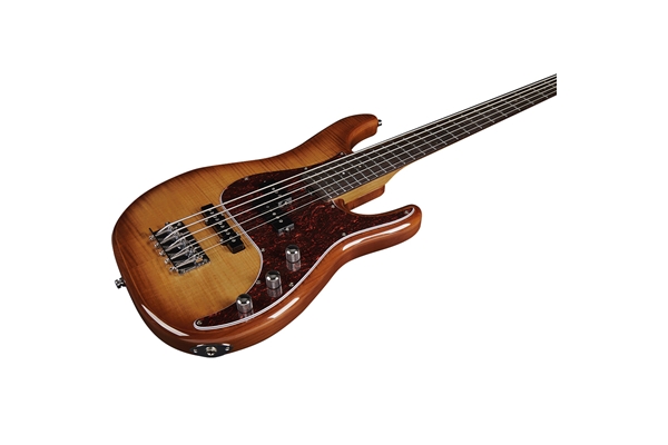 Eko Guitars - Aire 800-5 Musa Bass Honey Burst