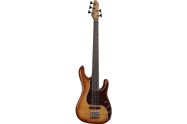 Eko Guitars - Aire 800-5 Musa Bass Honey Burst