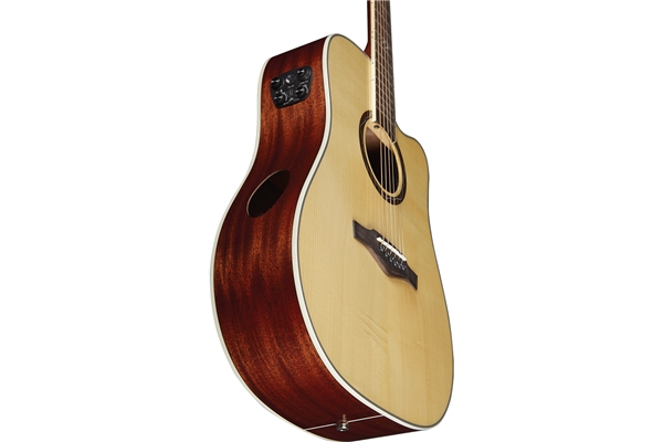 Eko Guitars - Tri D300ce