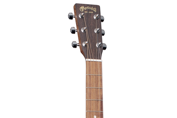 Martin & Co. - GPC-X2E-02 Palissandro X Series