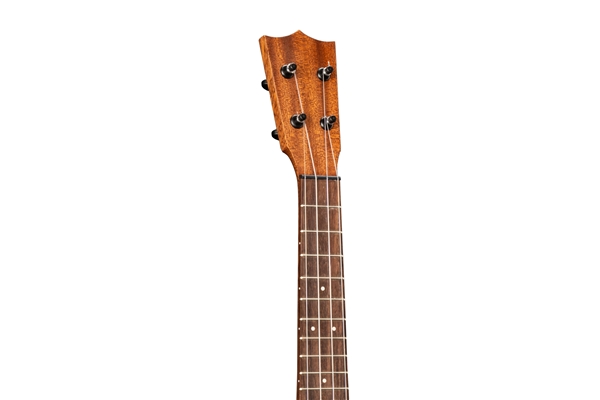 Martin & Co. - Centennial Concert Uke