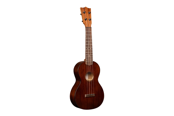 Martin & Co. - Centennial Concert Uke