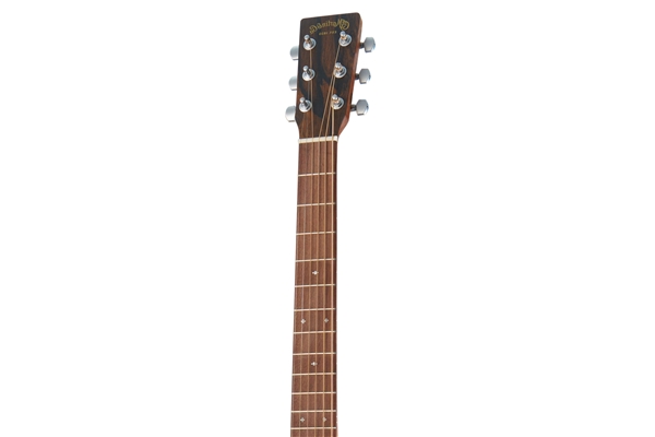 Martin & Co. - GP-X2EL Ziricote Special Left