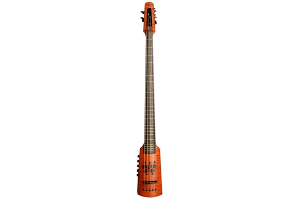 NS Design - CR Omni Bass 5 Fretted Amber Stain