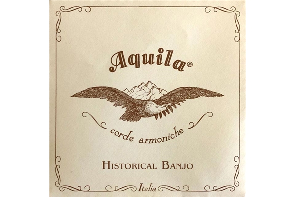 Aquila - 16B 5 string Banjo Synthetic Set