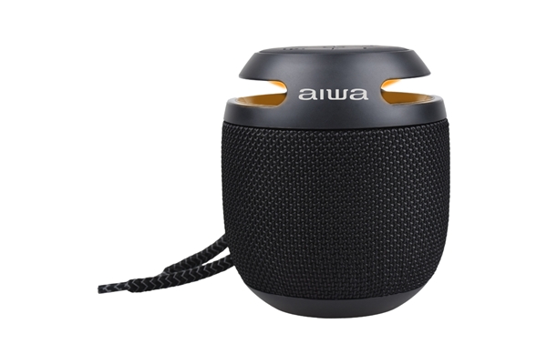 Aiwa - BST-100