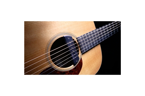 Fishman - Blackstack Passive Soundhole Humbucker Pickup (PRO-BLK-STK)