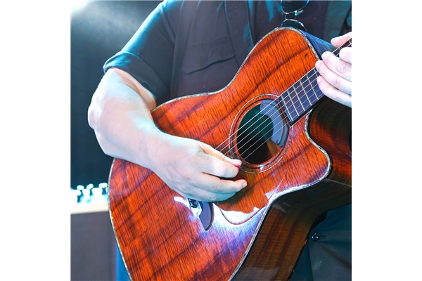 Fishman - Fluence Acoustic Rock Icon Guitar Pickup (PRO-FLA-RR1)