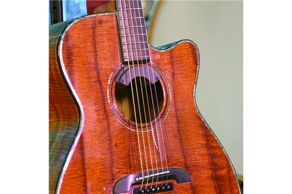 Fishman - Fluence Acoustic Rock Icon Guitar Pickup (PRO-FLA-RR1)