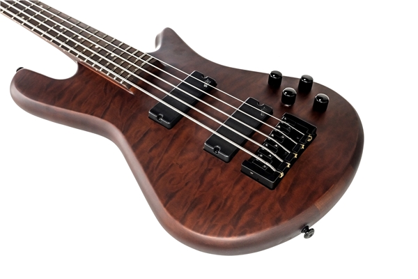 Spector - Legend 5 Neck Thru Walnut Stain