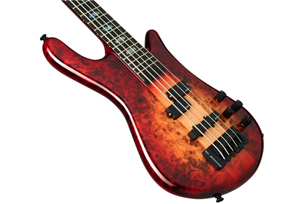 Spector - Euro 5 CST - Nat Red Burst Gloss