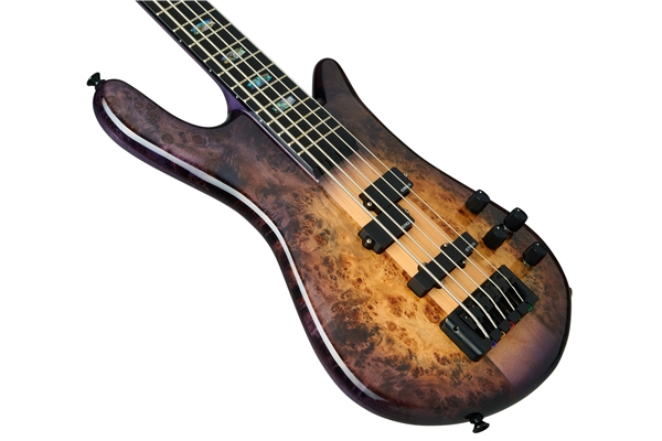 Spector - Euro 5 CST - Nat Violet Burst Gloss