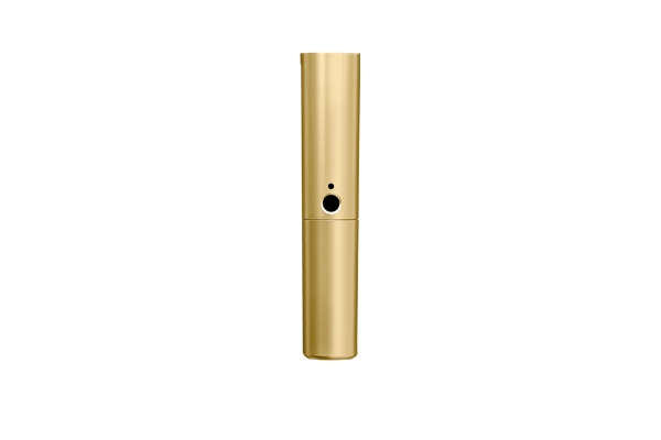 Shure - WA713-GLD Corpo oro BLX2 con capsula SM58 e Beta58A