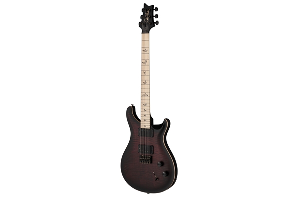 PRS - DW CE 24 Hardtail Limited Edition Waring Burst