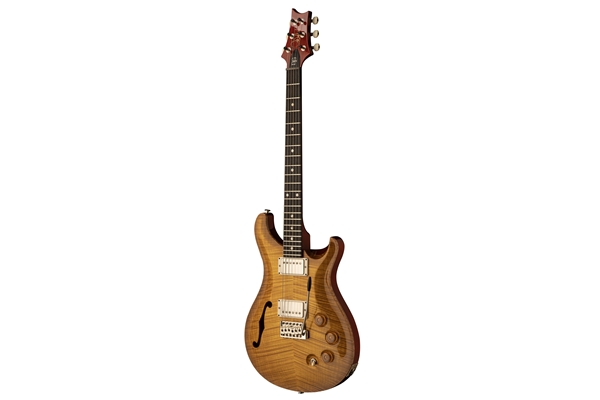 PRS - DGT Semi-Hollow Limited Edition