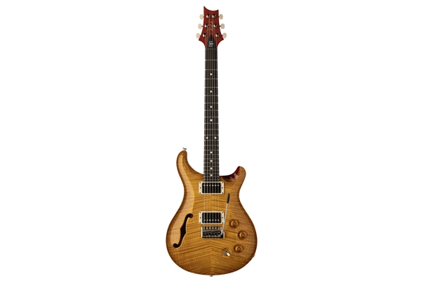 PRS - DGT Semi-Hollow Limited Edition