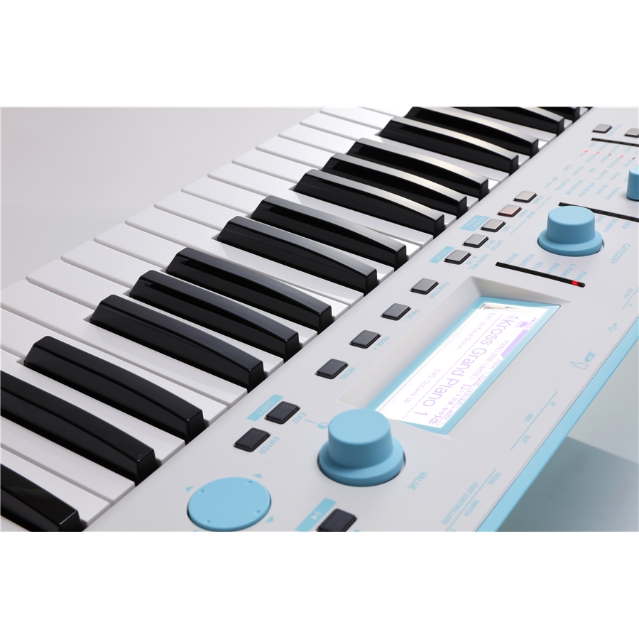 KORG KROSS 2-61 GB (Grey-Blue) | Synth Workstation