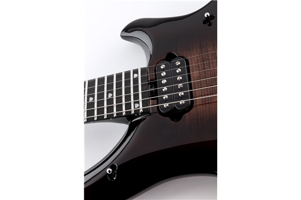 Music Man - Majesty 2019 Dark Roast