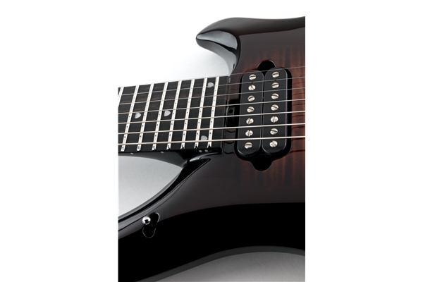 Music Man - Majesty 7 2019 Dark Roast