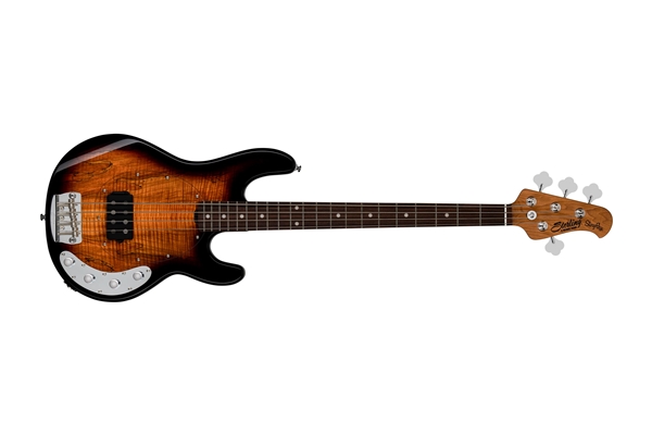 Sterling by Music Man - RAY34 Spalted Maple 3 Tone Sunburst