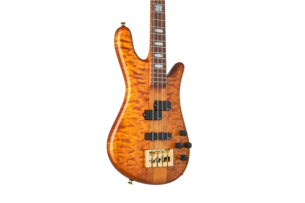 SPECTOR DW-4 AMBER