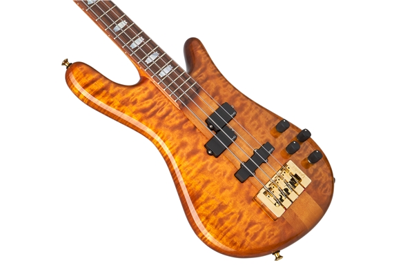 SPECTOR DW-4 AMBER