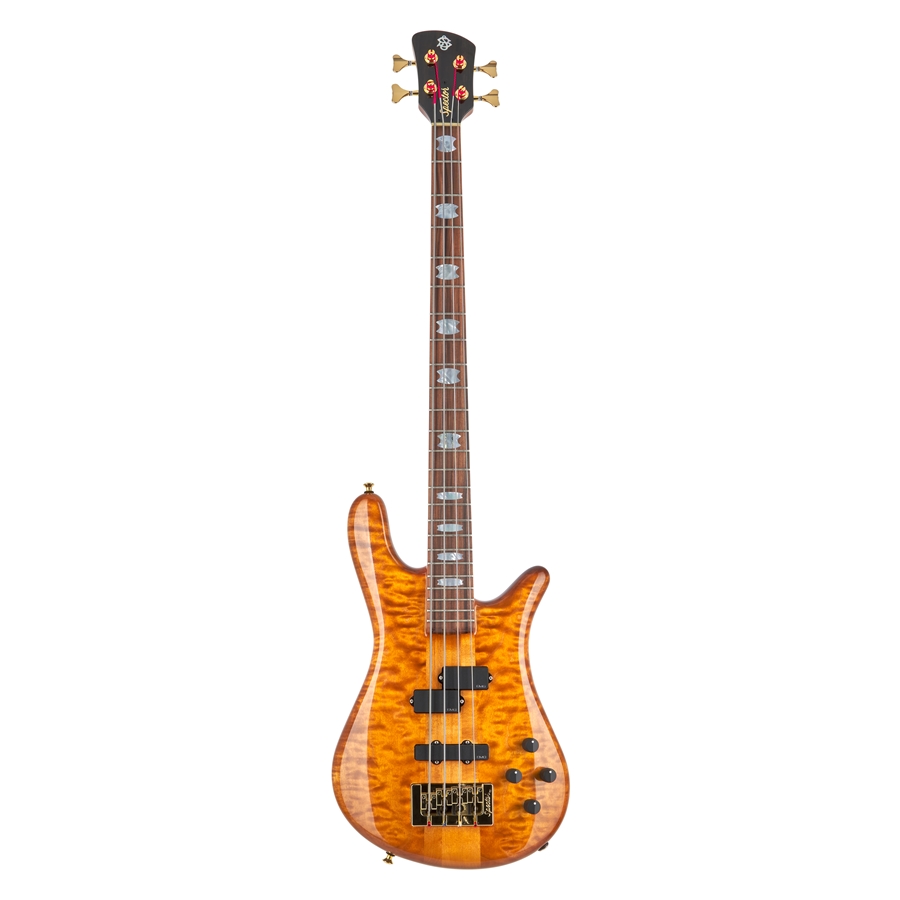 SPECTOR DW-4 AMBER