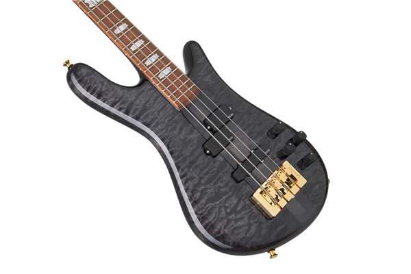 SPECTOR DW-4 BLACK STAIN