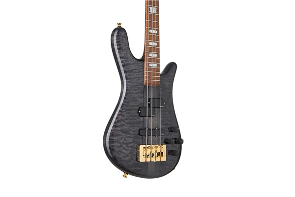 SPECTOR DW-4 BLACK STAIN