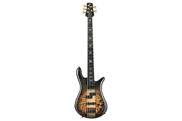 SPECTOR EURO 5 CST - NAT BLACK BURST GLOSS