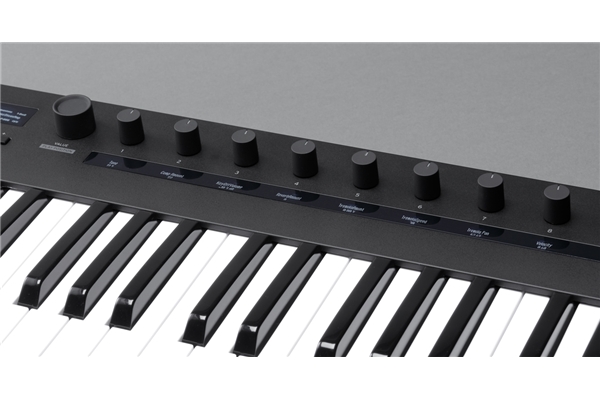 KORG KEYSTAGE-49