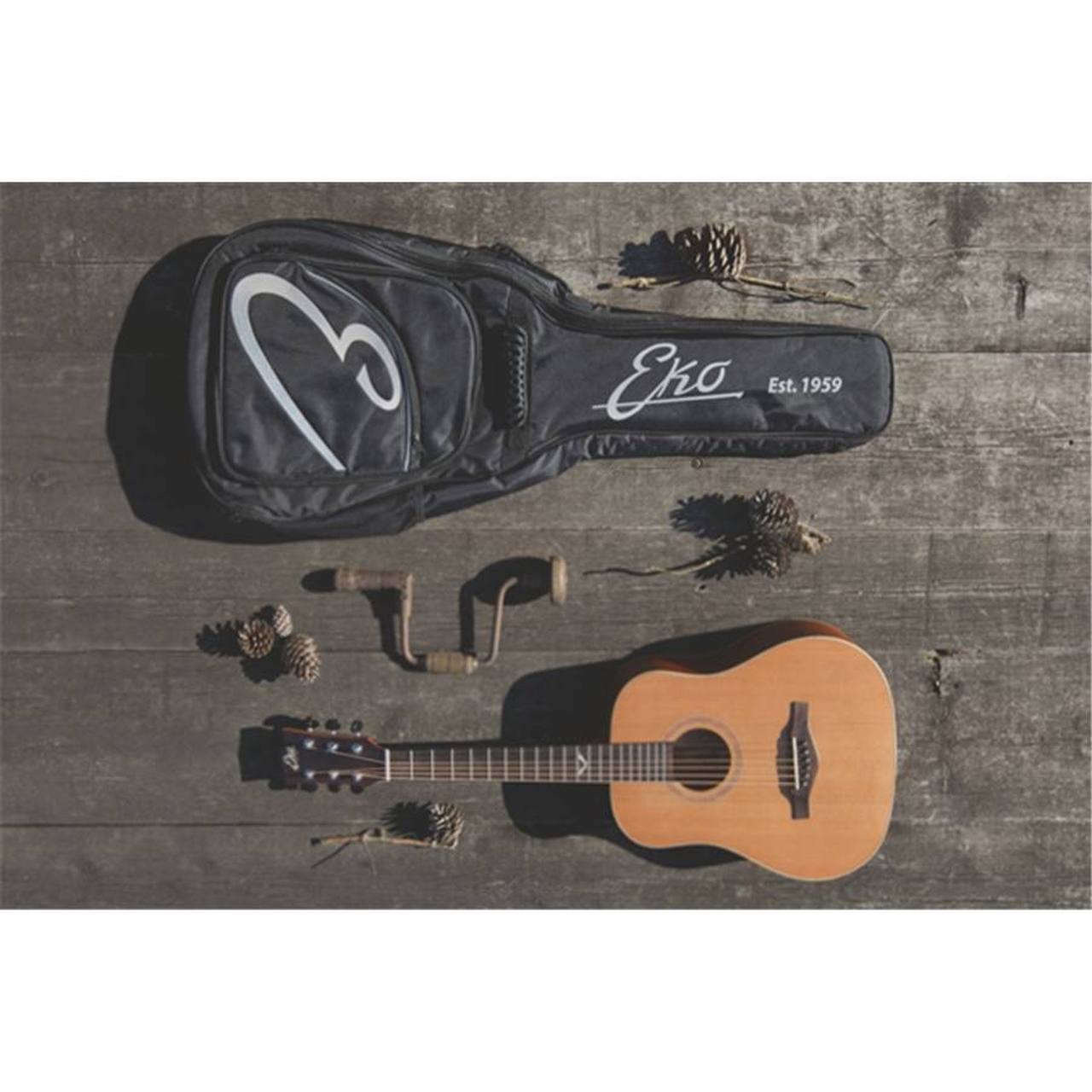 16-eko-guitars-eko-evo-mini-eq-con-borsa-pkpn00000274_0