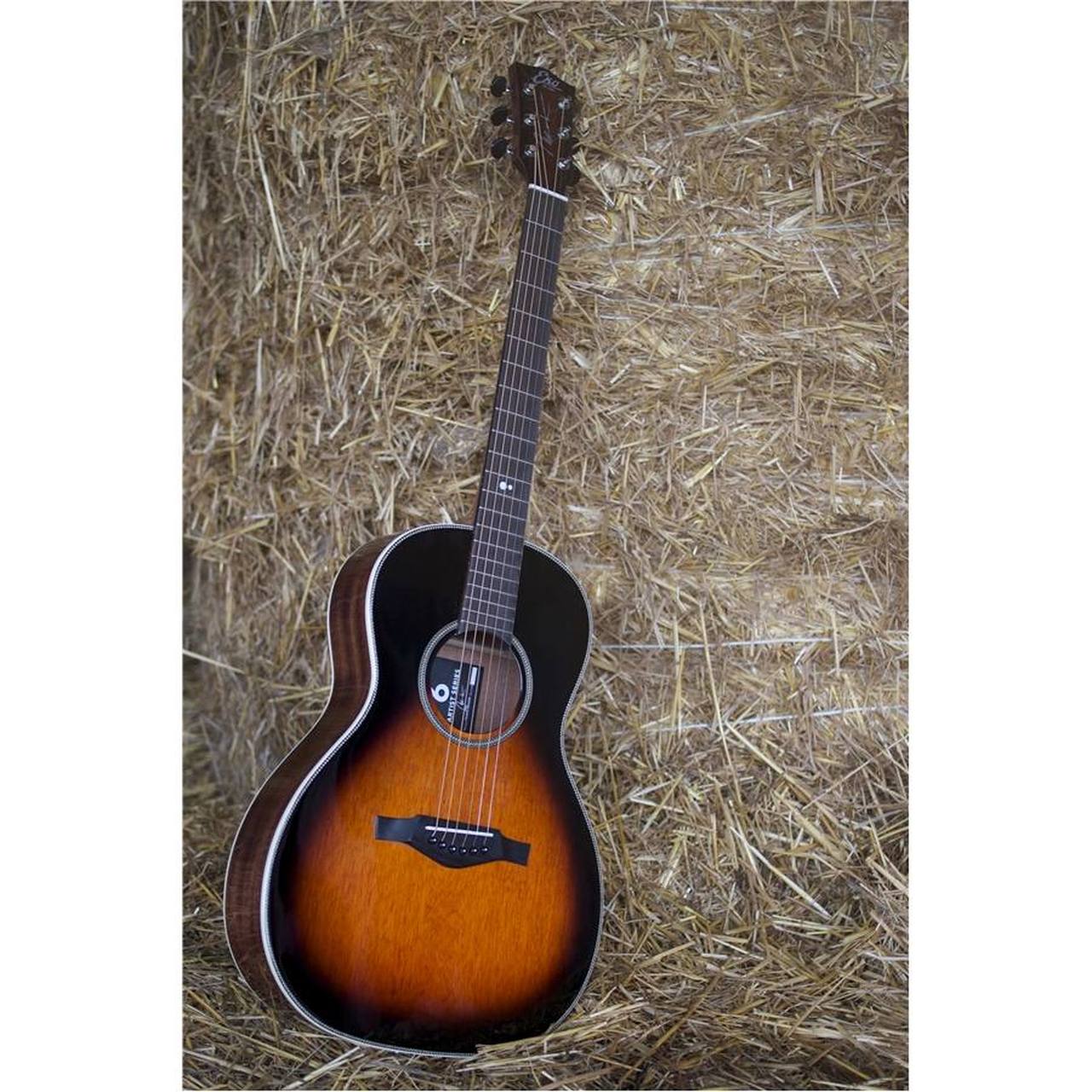 16-eko-guitars-nek-signature-06217088_0