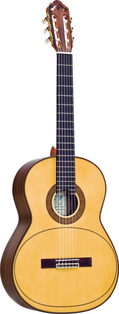 23-esteve-artista-membrana-chitarra-classica-06190141_0