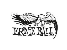 Ernie Ball