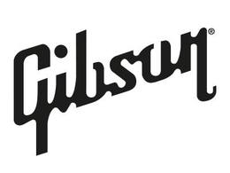 Gibson Accessories