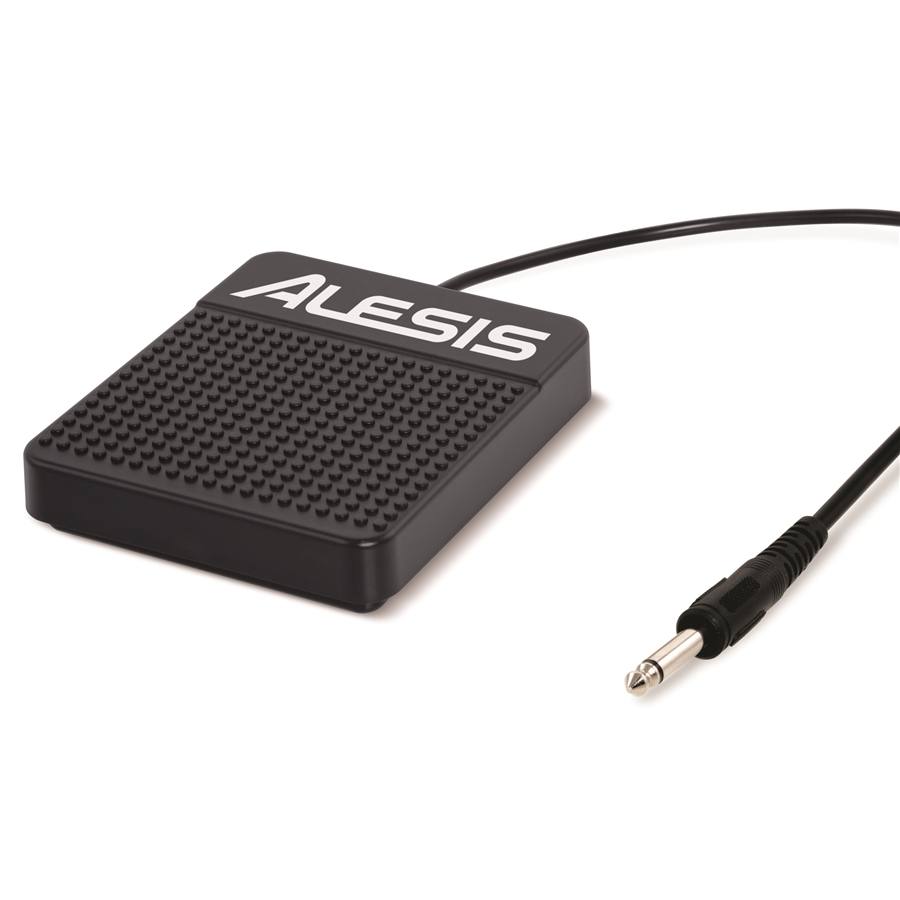 ASP-1 SUSTAIN PEDAL