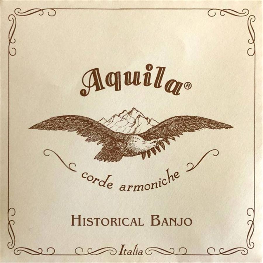 107-aquila-16b-5-string-banjo-synthetic-set-11600069_0