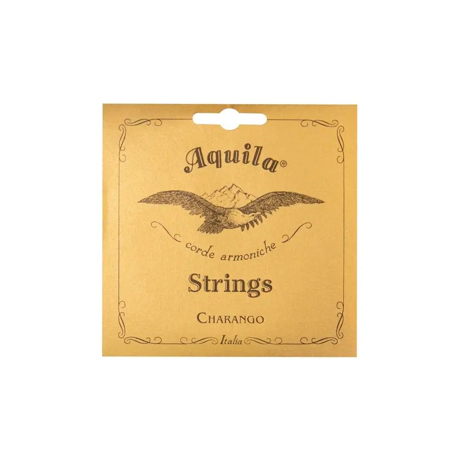 107-aquila-1ch-nylgut-charango-set-11600028_0