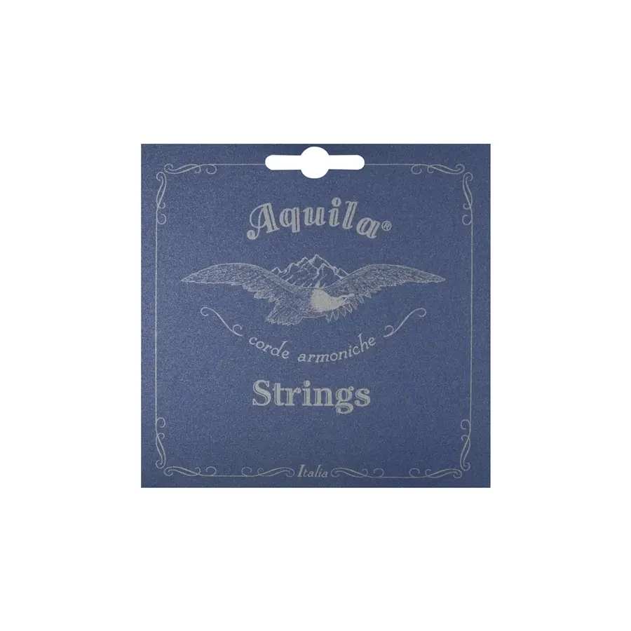 107-aquila-92c-classic-guitar-set-10-st-11600229_0