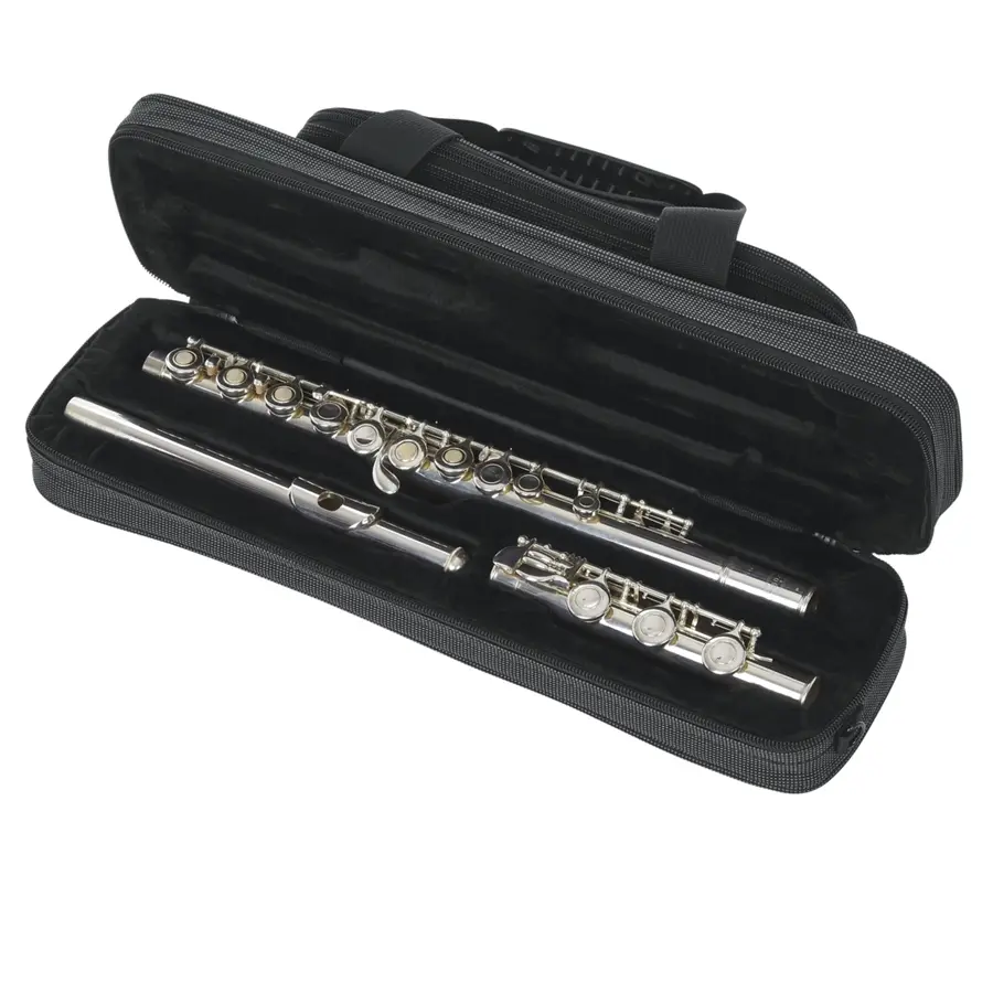 119-gator-cases-gl-flute-a-custodia-flauto-traverso-24300012_3