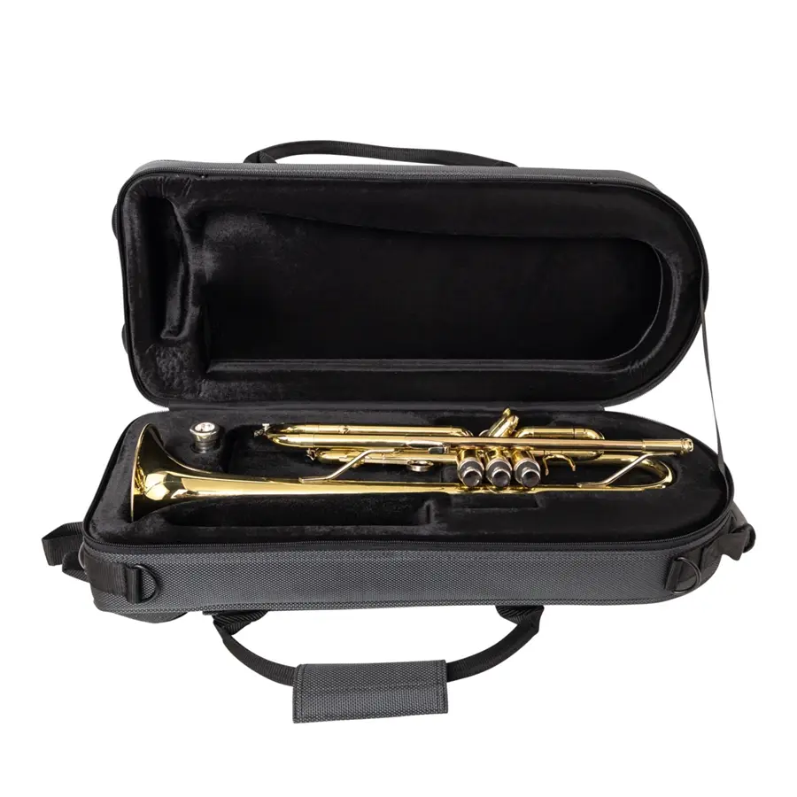 119-gator-cases-gl-trumpet-s23-custodia-semirigida-modellata-tromba-bb-24300469_4