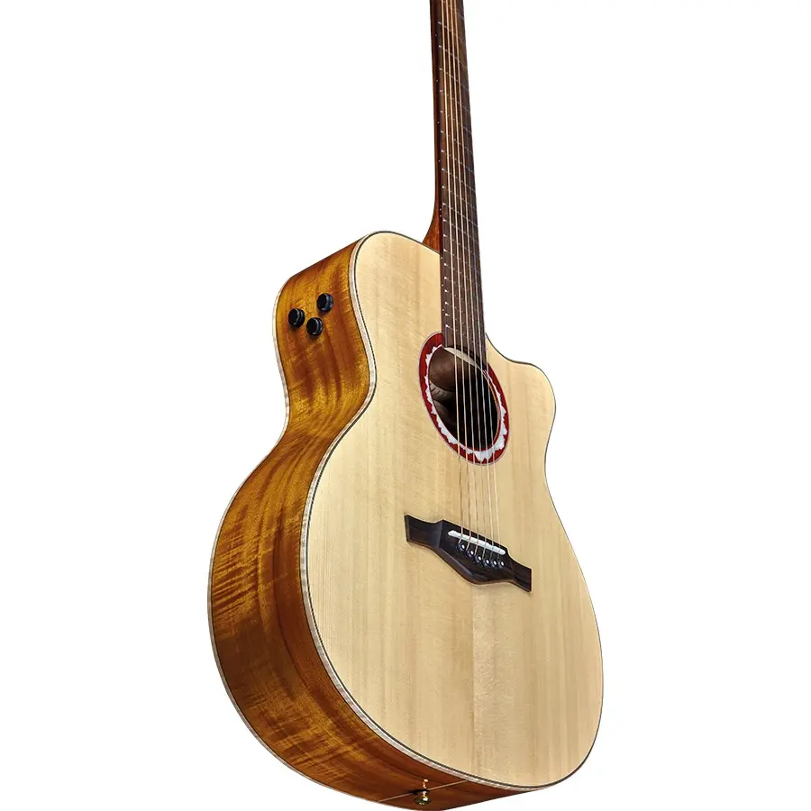 16-eko-guitars-alps-j450ce-06217269_3