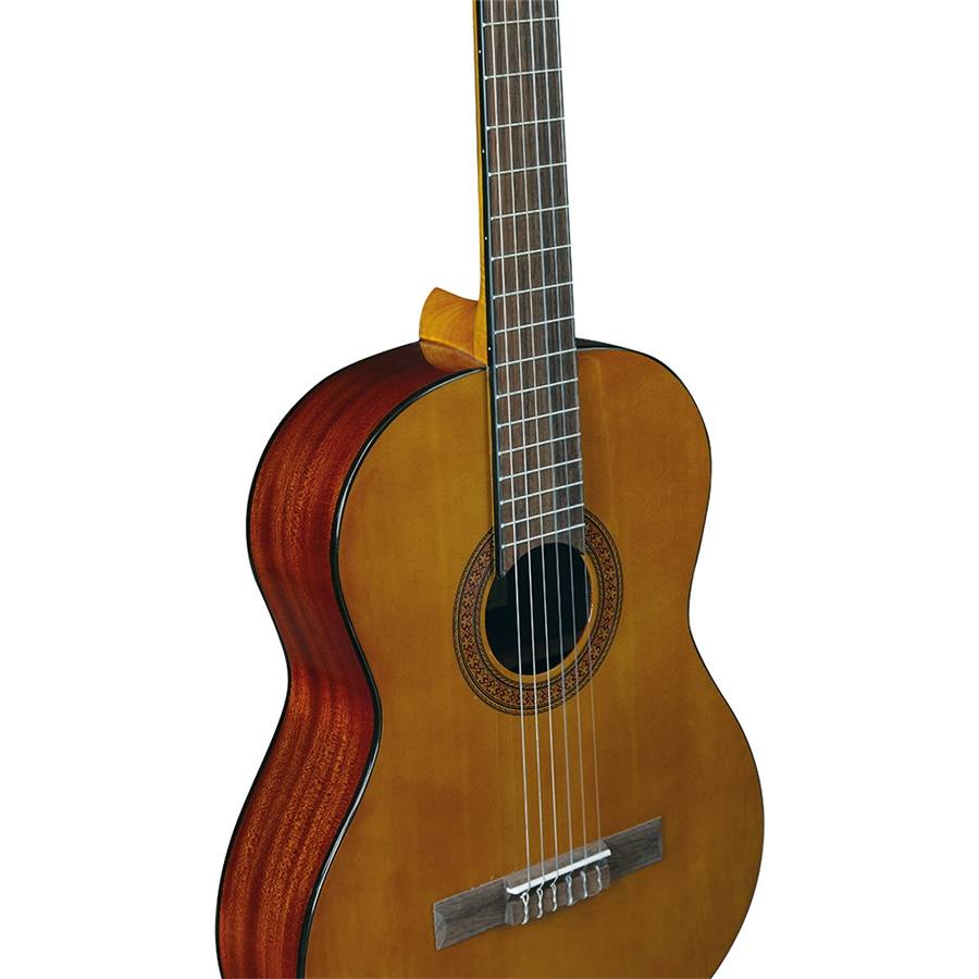 16-eko-guitars-cs-15-06204130_2