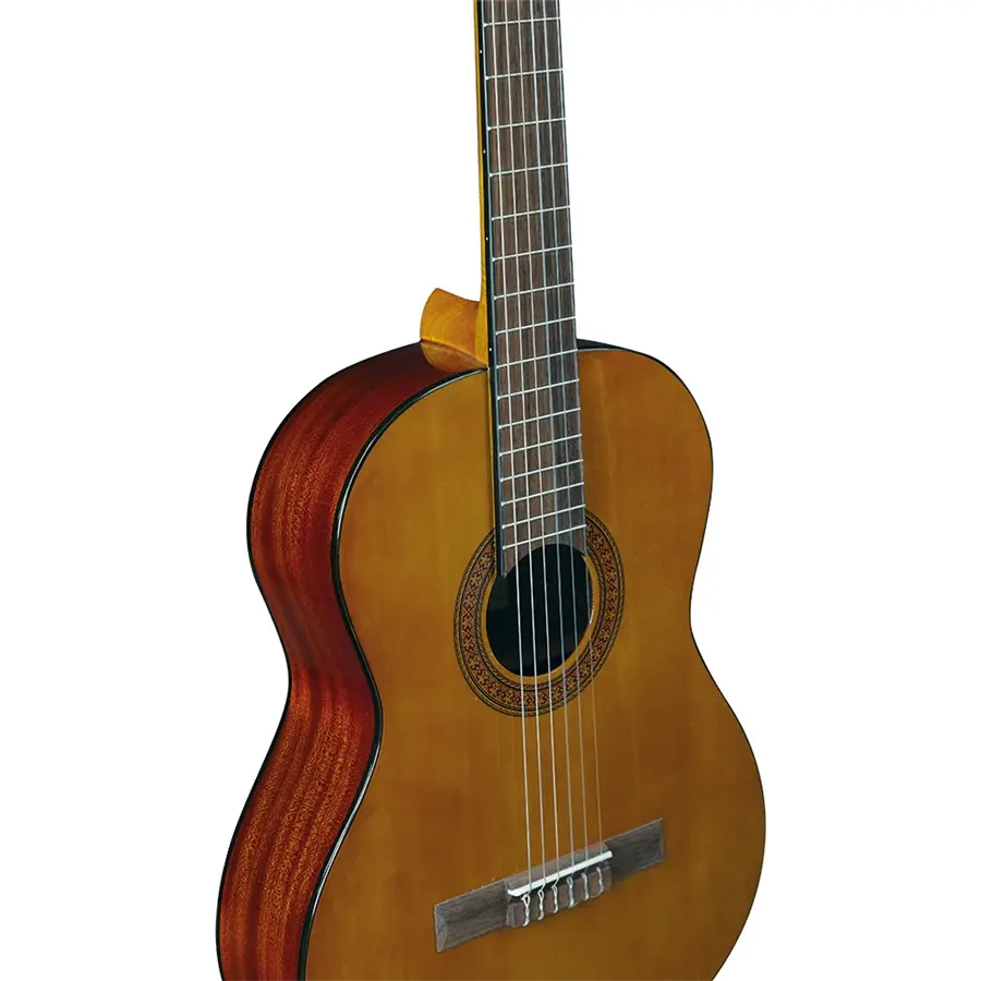 16-eko-guitars-cs-15-06204130_2